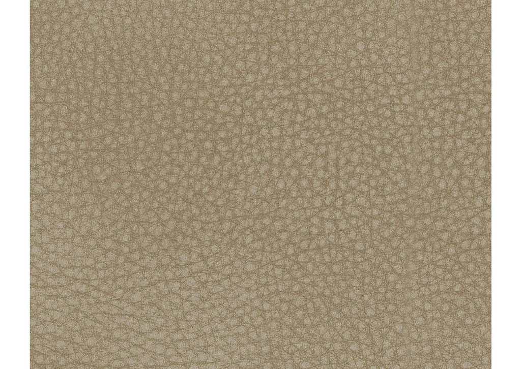 Next-Gen DuraPella Power Reclining Sofa color swatch
