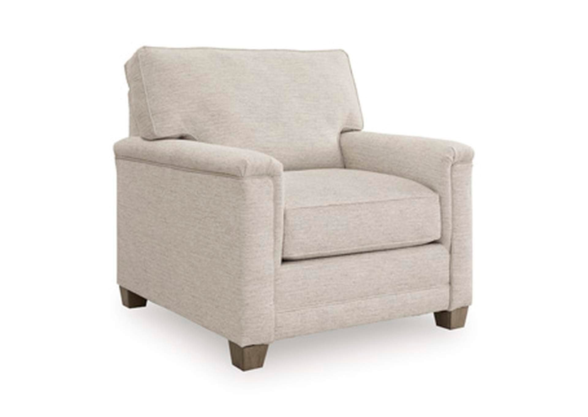 Rayne-Cove Chair angled view