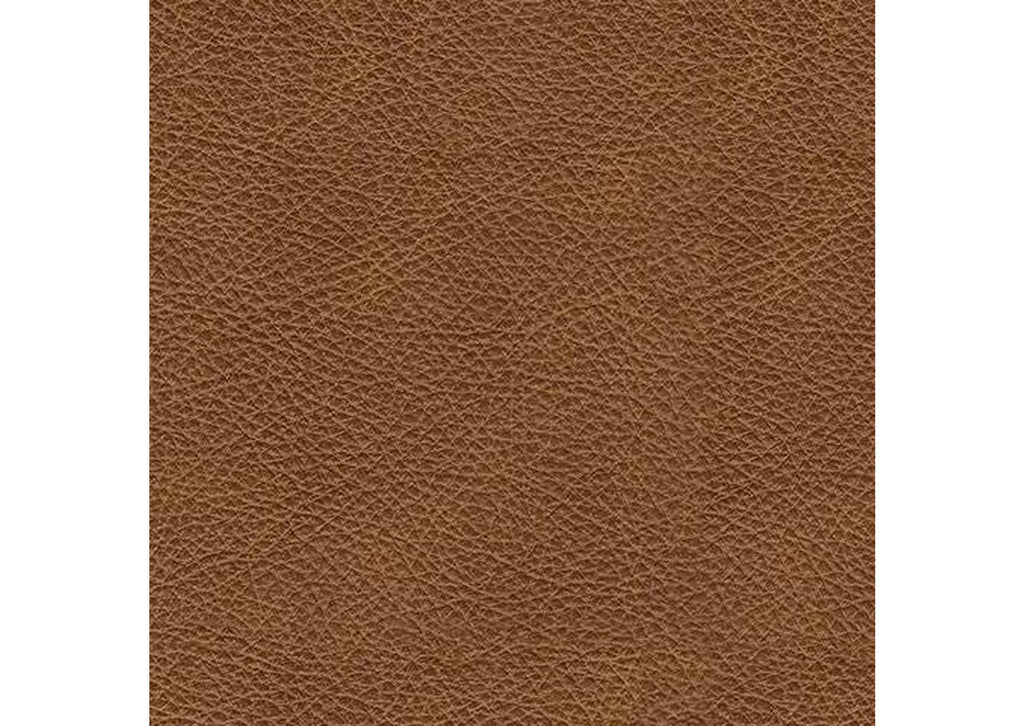 Emilia Leather Modular Sofa and Loveseat color swatch