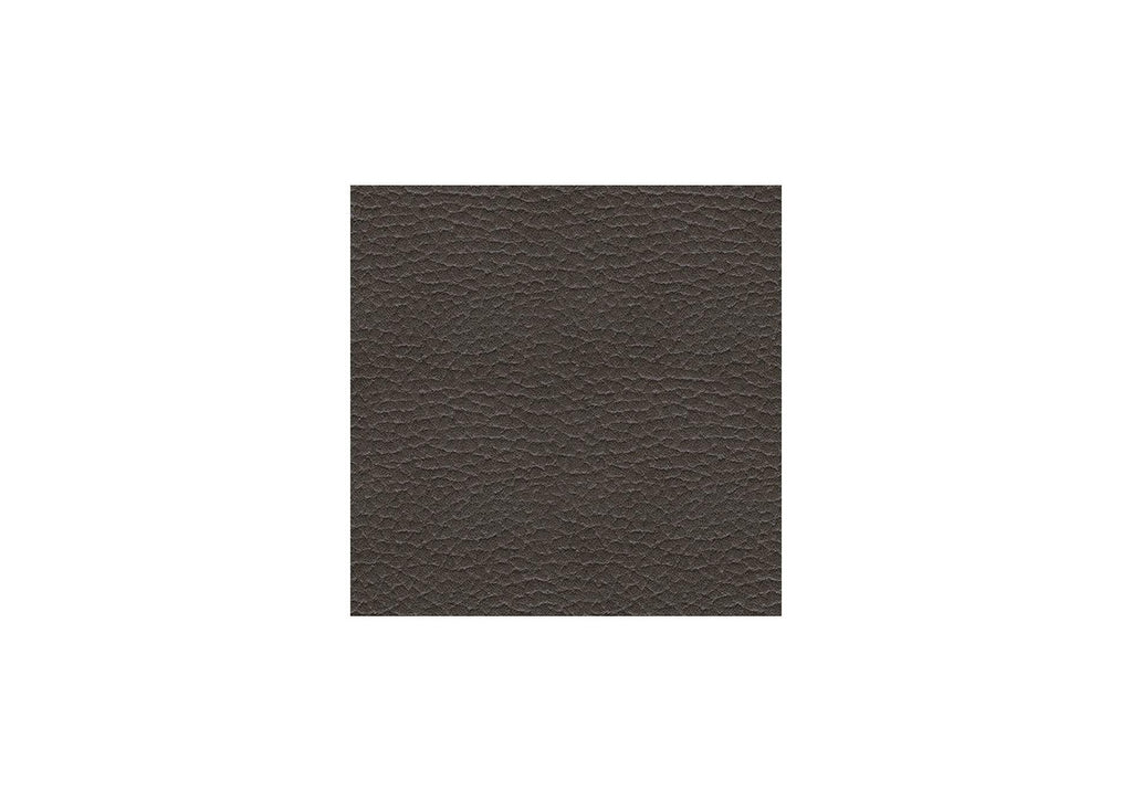 Fyne-Dyme Power Sofa and Loveseat color swatch