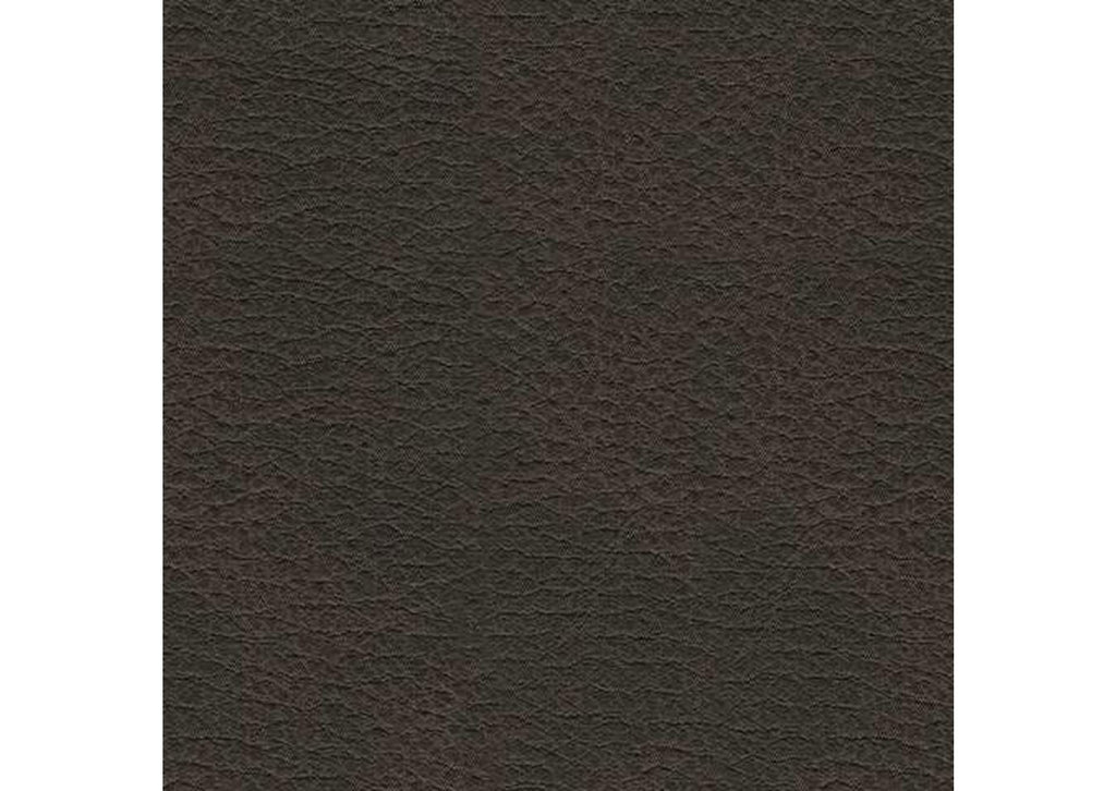 Femley Recliner color swatch