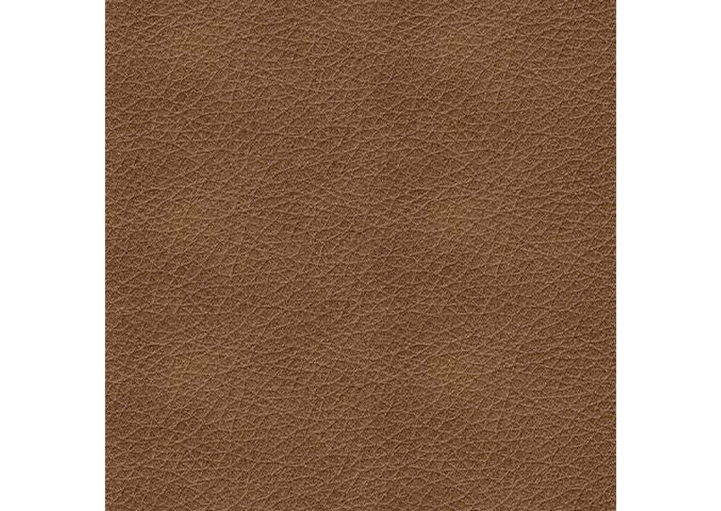 Bolsena Leather Sofa and Loveseat color swatch