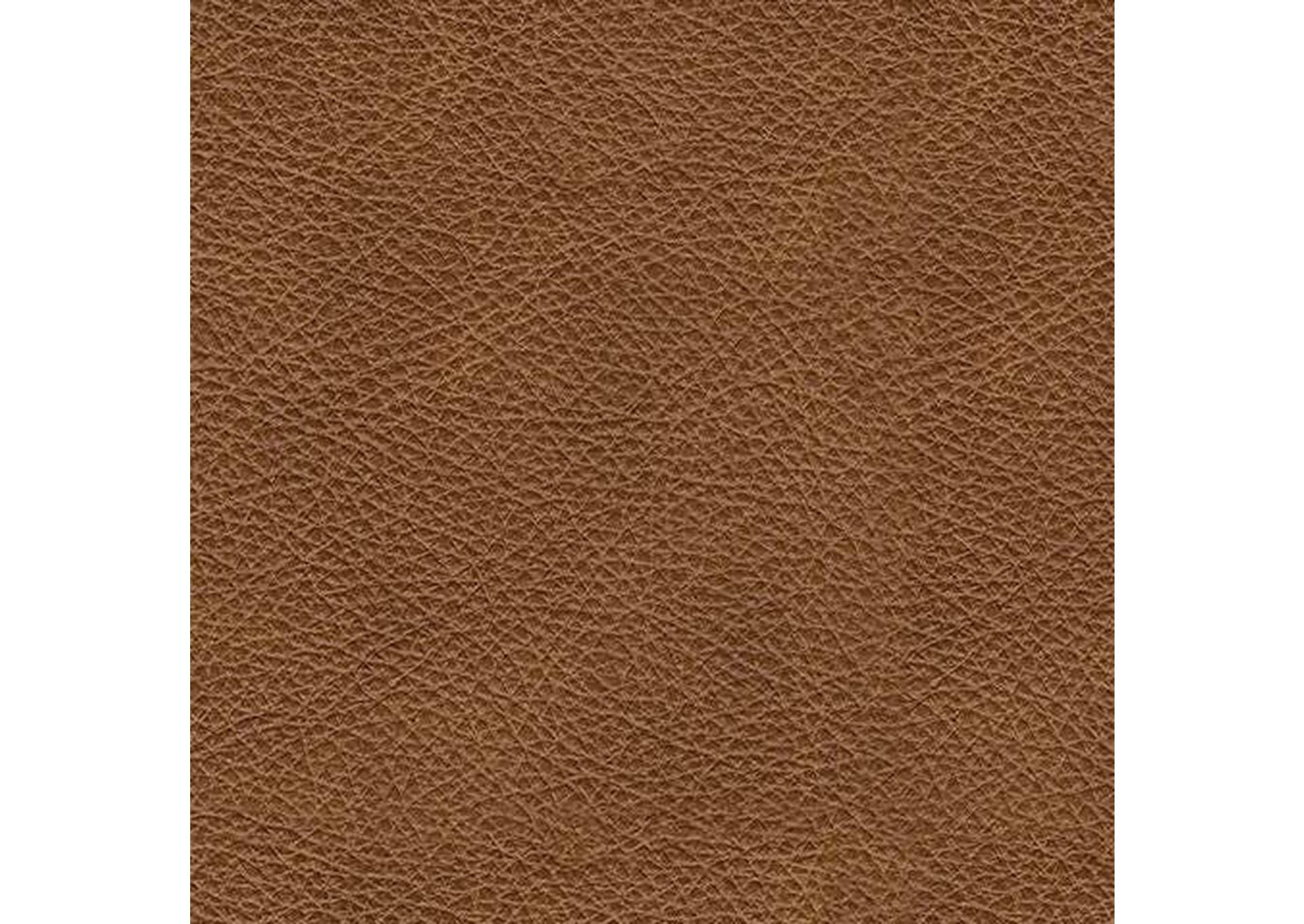 Carianna Leather Sofa and Loveseat color swatch