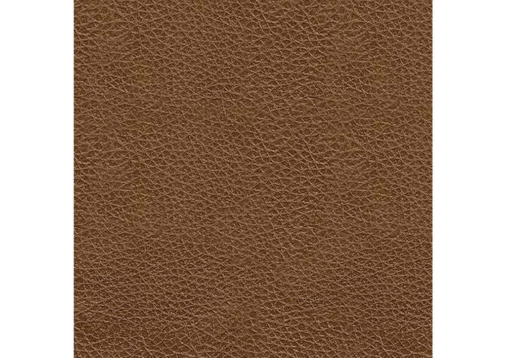 Saonara Loveseat color swatch