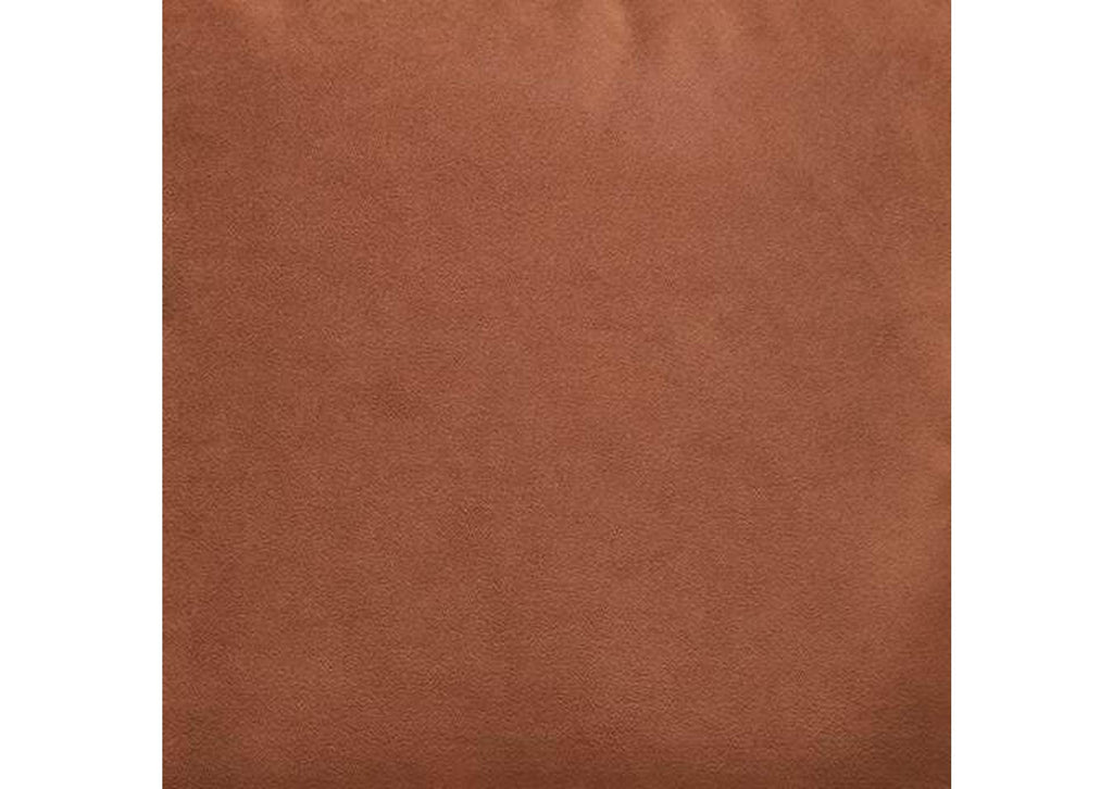 Caygan Pillow color swatch