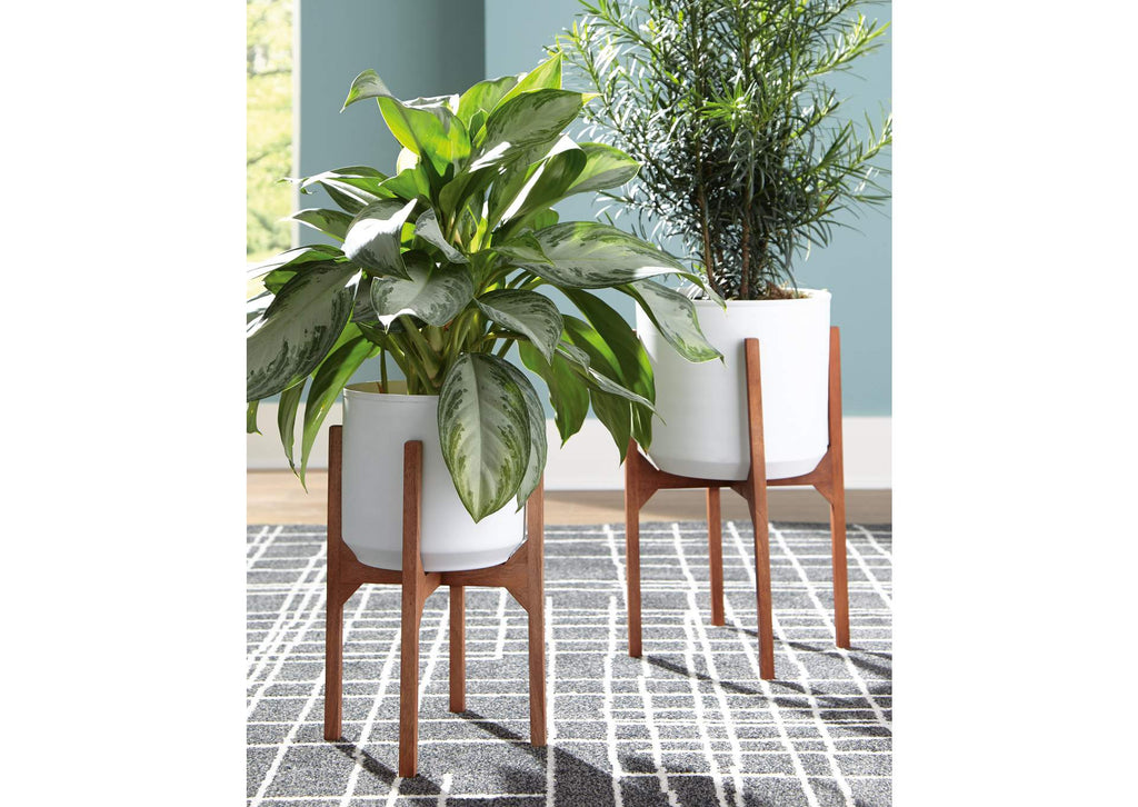 Dorcey Planter (Set of 2) room view