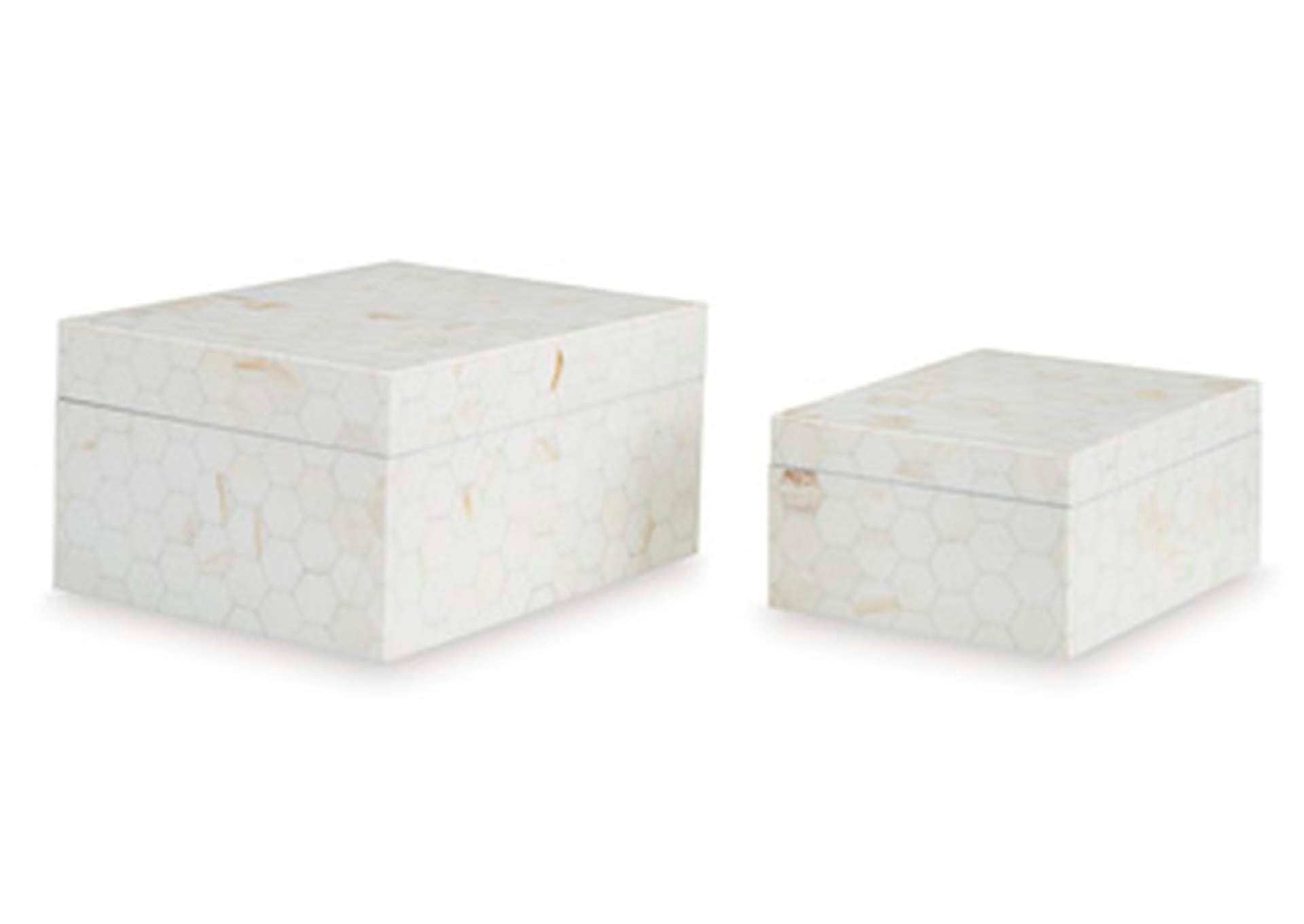 Aldenburg Box (Set of 2)