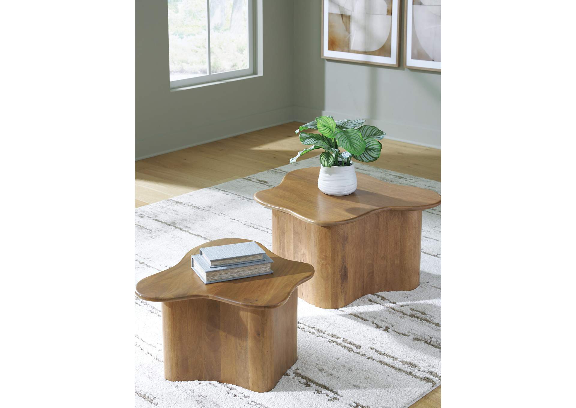 Abeford Accent Coffee Table (Set of 2)