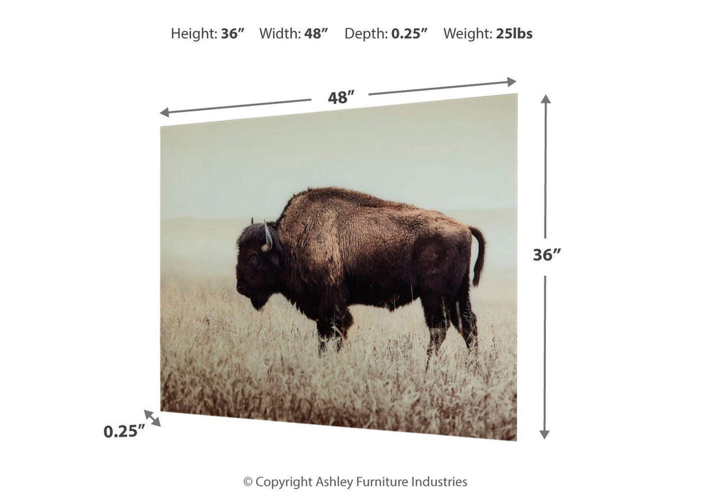 Brutus Wall Art dimensions