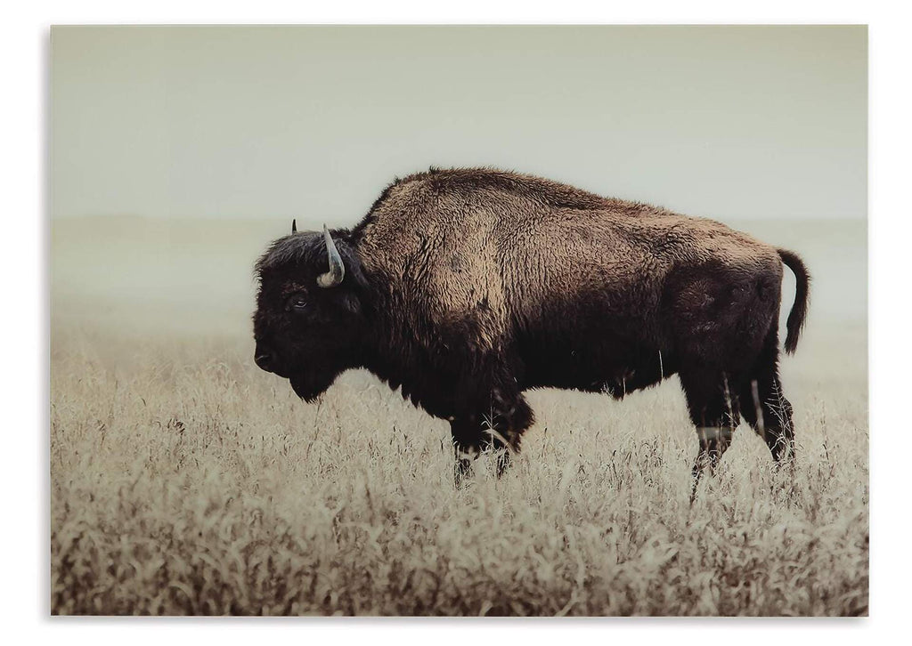 Brutus Wall Art