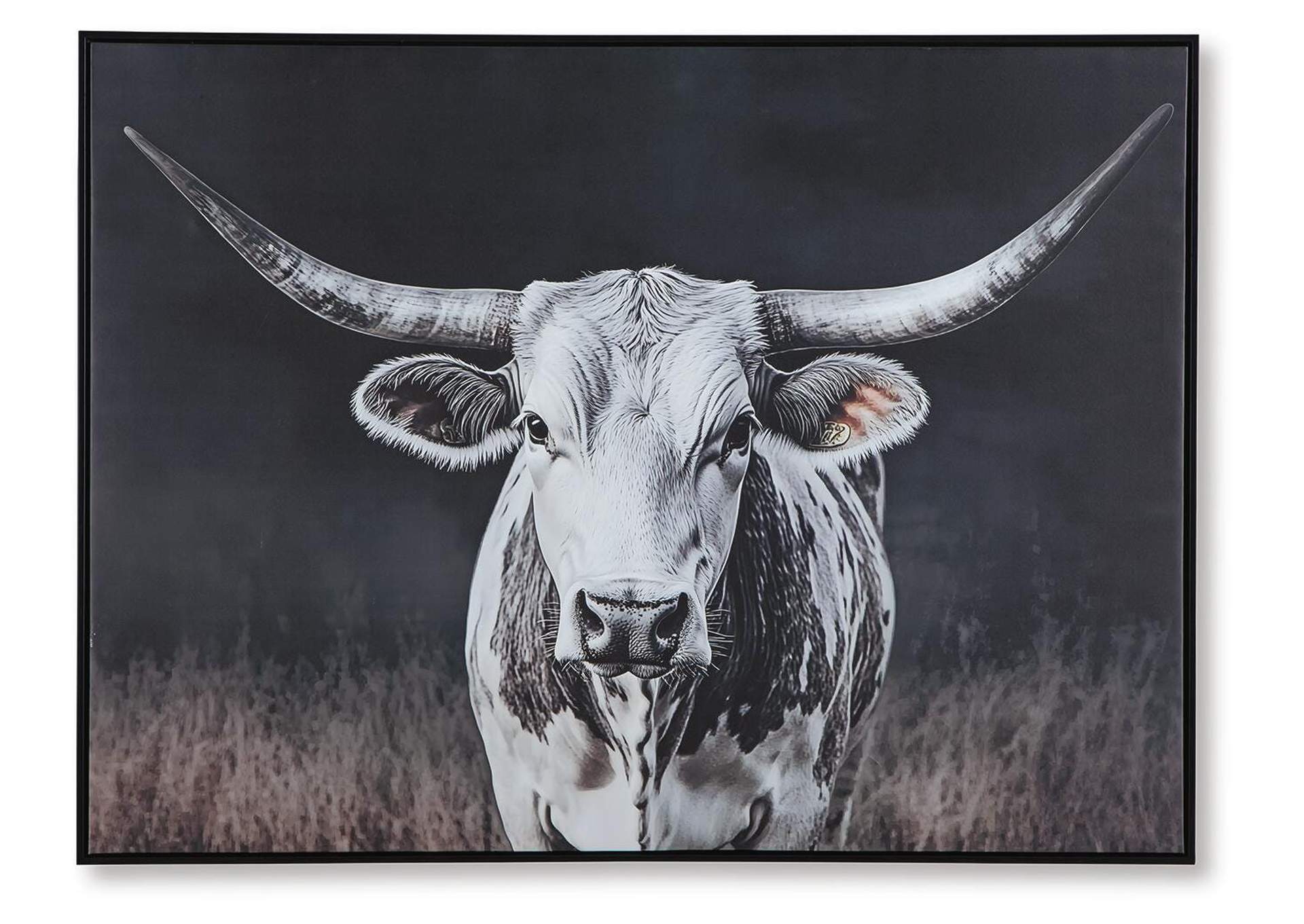 Harlandale Wall Art