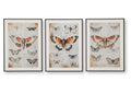 Jossletts Wall Art (Set of 3)