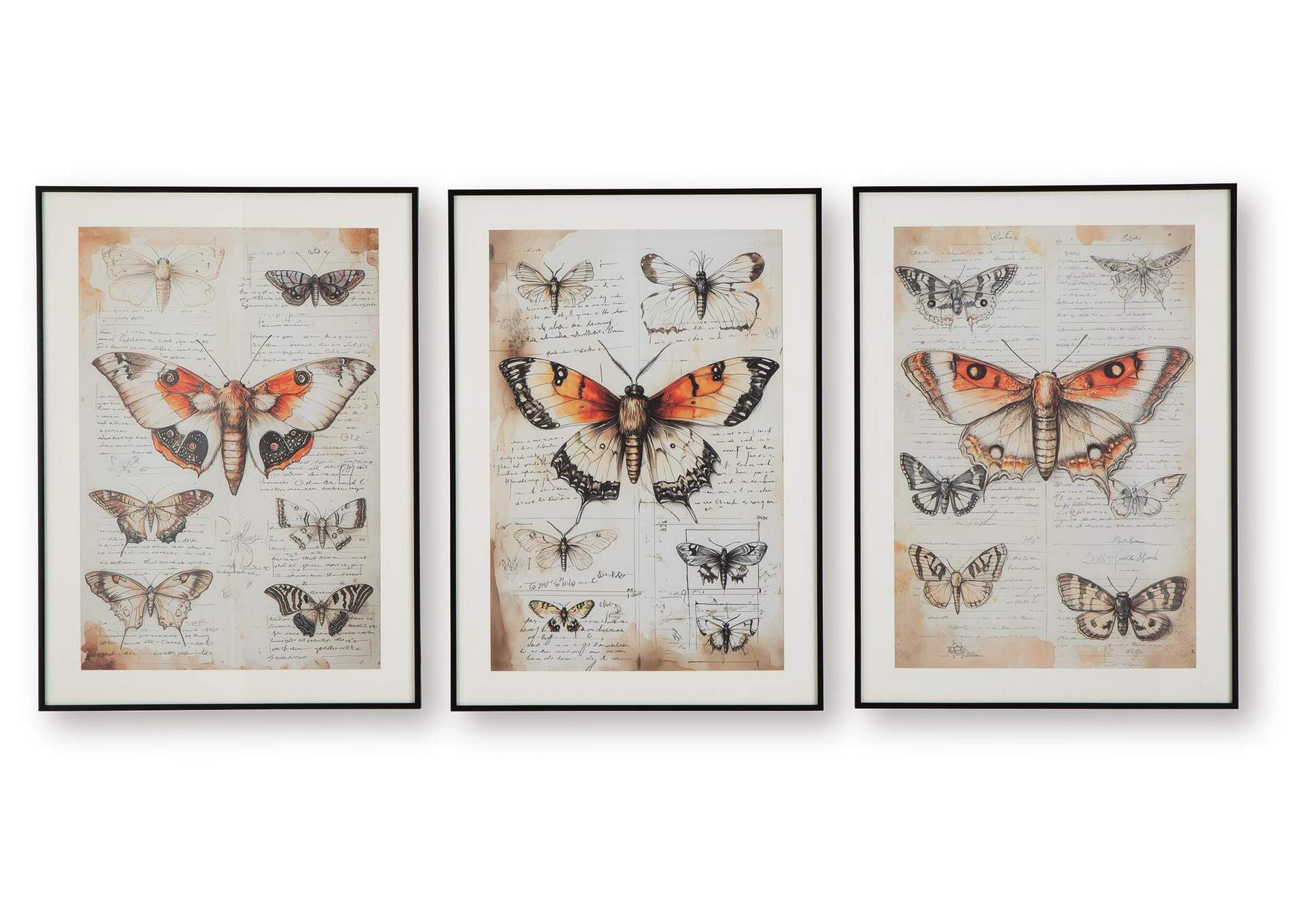 Jossletts Wall Art (Set of 3)