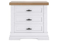 Ashbryn Queen Panel Storage Bed and 2 Nightstands