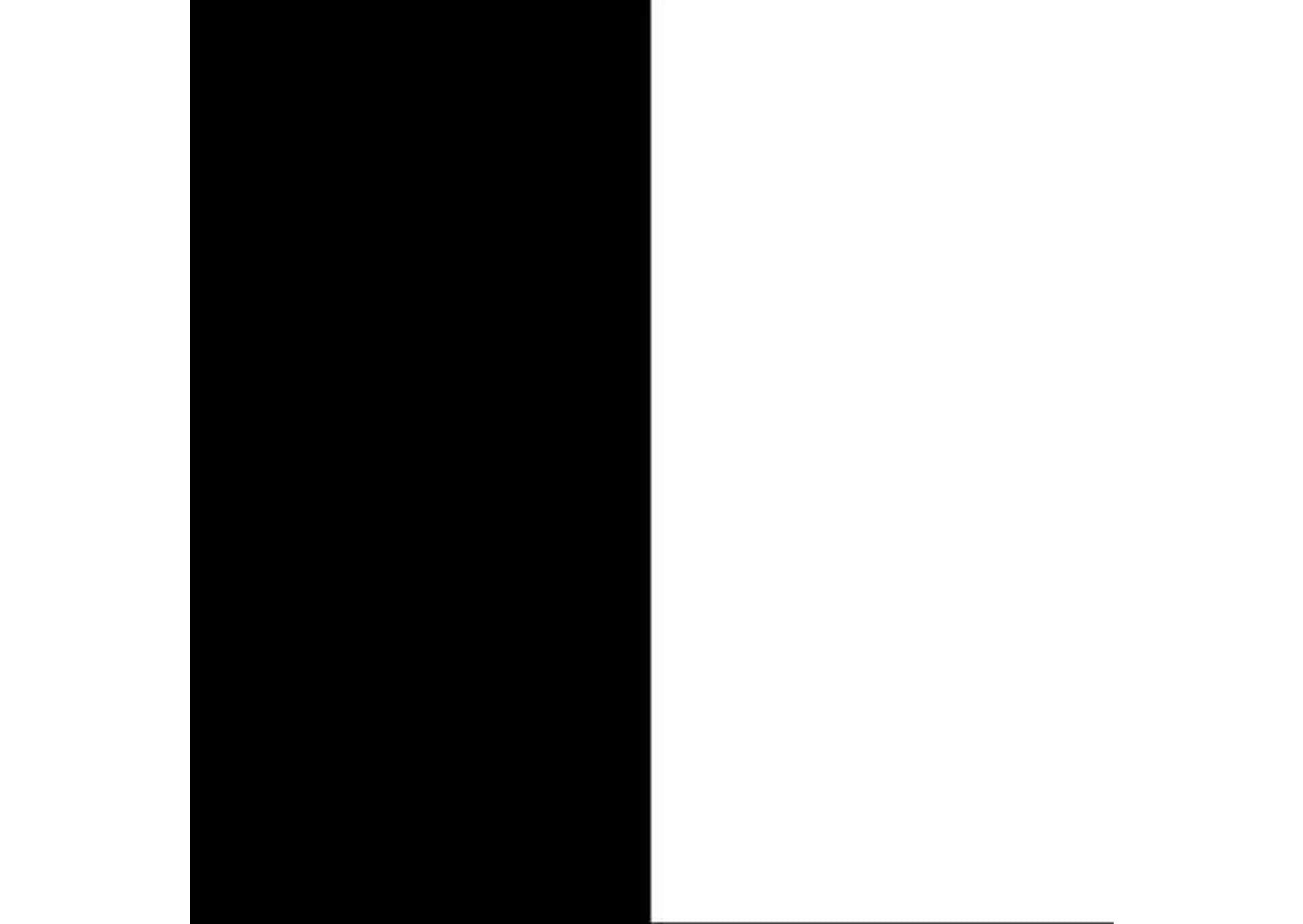 Reighlea Wall Art color swatch