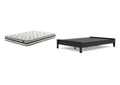 Finch Queen Platform Bed with Chime 8 Inch Firm Innerspring Mattress