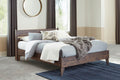 Calverson Queen Panel Platform Bed in Mocha