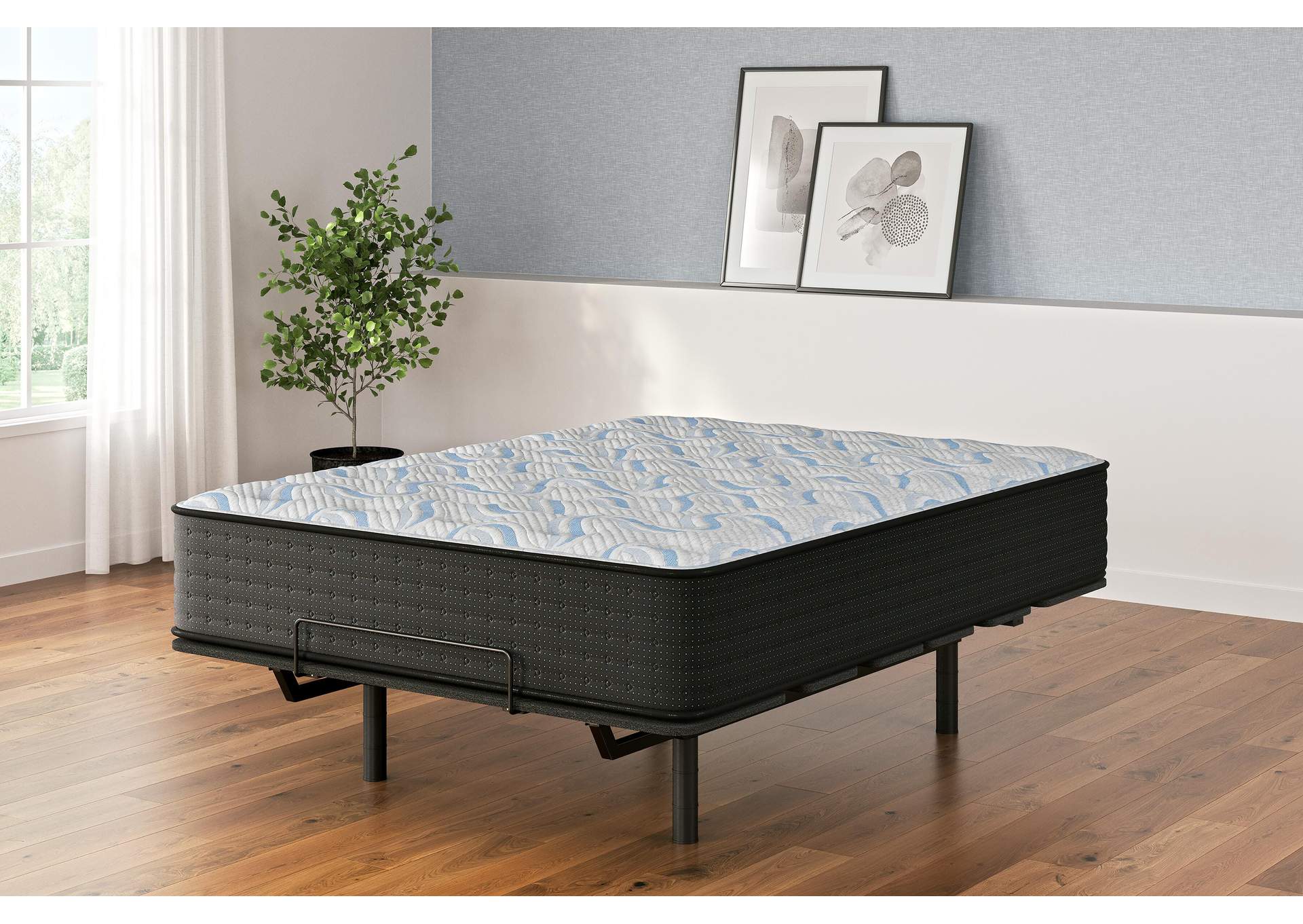 Elite Springs Plush Queen Mattress