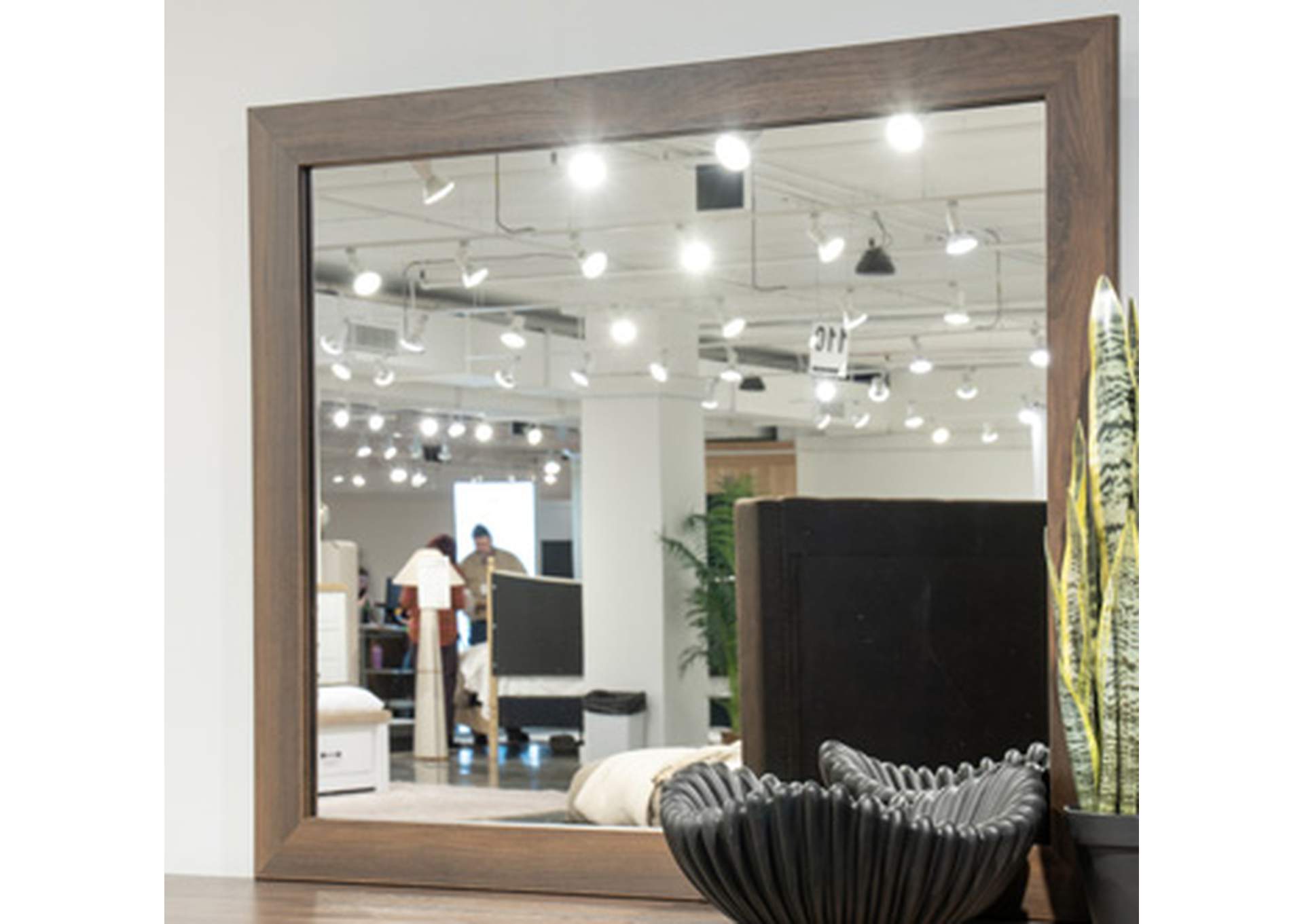Janfyn Bedroom Mirror room view