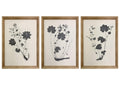 Huddwick Wall Art (Set of 3)
