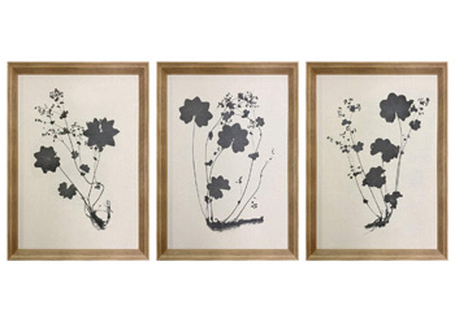 Huddwick Wall Art (Set of 3)
