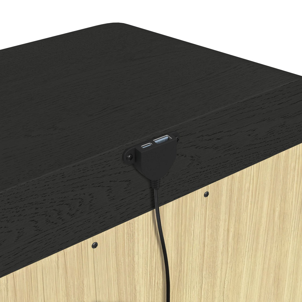 Ridgemont 2-Drawer Nightstand With Usb In Black With Grain
